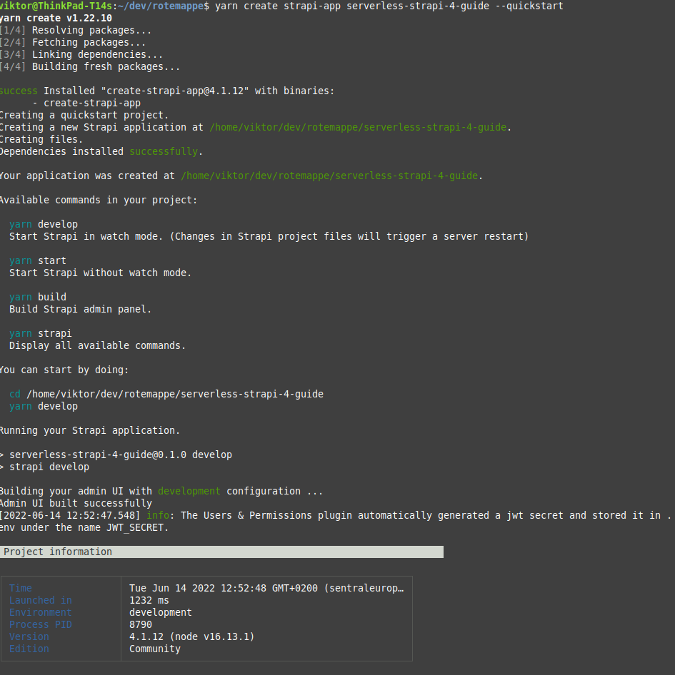 create strapi app.png